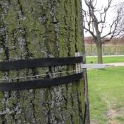 &copy; Fachgebiet Vegetationstechnik & Pflanzenverwendung (TU Berlin)