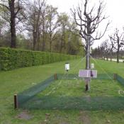 &copy; Fachgebiet Vegetationstechnik & Pflanzenverwendung (TU Berlin)