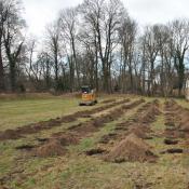 &copy; Fachgebiet Vegetationstechnik & Pflanzenverwendung (TU Berlin)