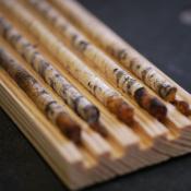 &copy; Fachgebiet Vegetationstechnik & Pflanzenverwendung (TU Berlin)