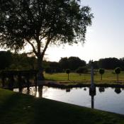 &copy; Fachgebiet Vegetationstechnik & Pflanzenverwendung (TU Berlin)